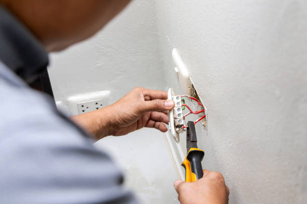 Best Electrical System Inspection  in Burton, MI